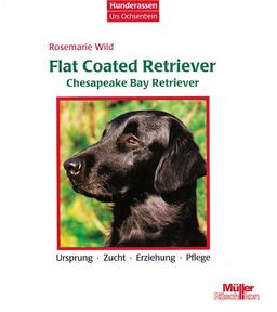 Flat Coated Retriever / Chesapeake Bay Retriever. Ursprung, Zucht, Erziehung, Pflege