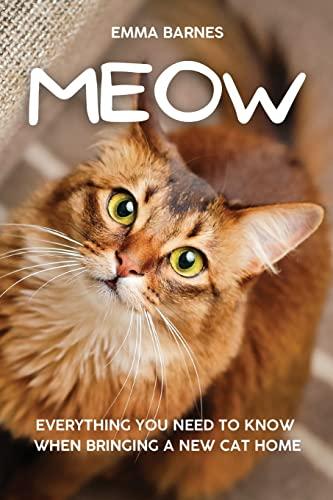 MEOW: Everything You Need to Know When Bringing a New Cat Home