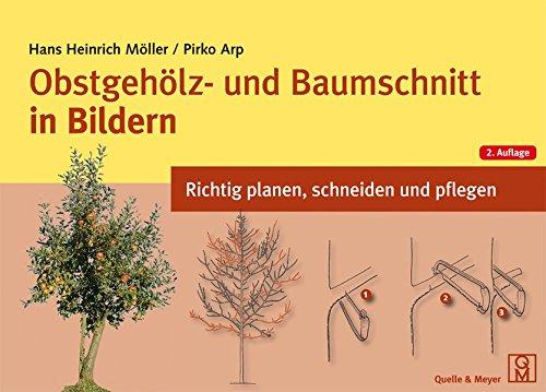 Obstgehölz- und Baumschnitt in Bildern: Richtig planen, schneiden und pflegen