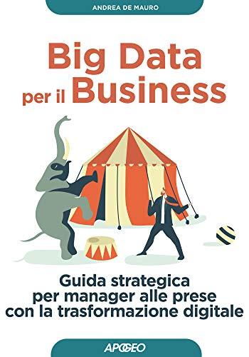 Big data per il business. Guida strategica per manager alle prese con la trasformazione digitale