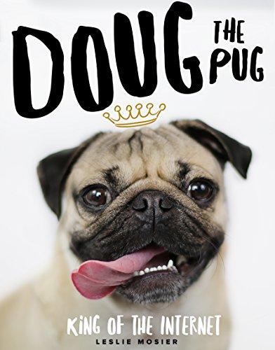 Doug The Pug: The King of the Internet