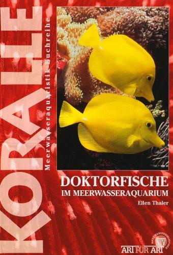 Doktorfische im Meerwasseraquarium