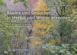 Bäume und Sträucher in Herbst und Winter erkennen: Bebilderte Steckbriefe, Wissenswertes zu Namen, Mythologie und Verwendung