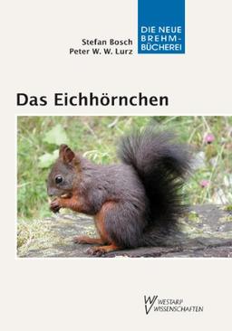 Das Eichhörnchen - Sciurus vulgaris