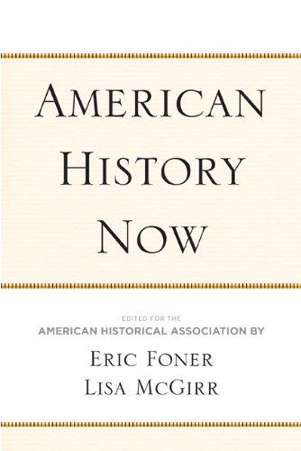 American History Now (Critical Perspectives on the Past)