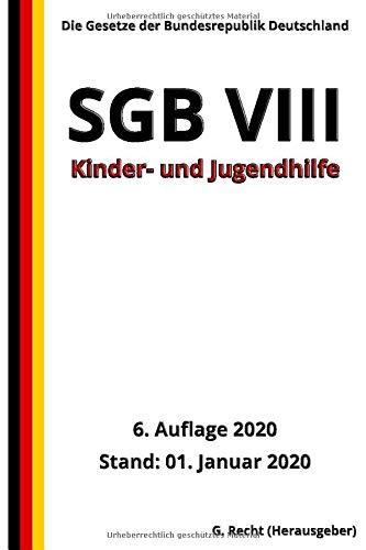 SGB VIII - Kinder- und Jugendhilfe, 6. Auflage 2020