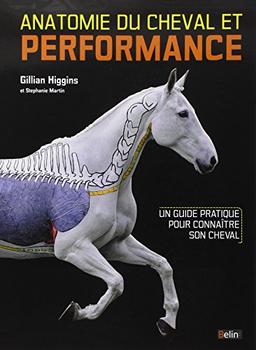 Anatomie du cheval et performance : un guide pratique pour connaître son cheval