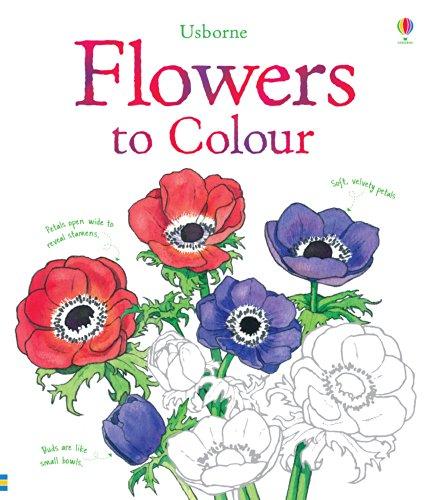 Flowers to Colour (Usborne Colouring Books)