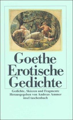 Erotische Gedichte: Gedichte, Skizzen und Fragmente (insel taschenbuch)