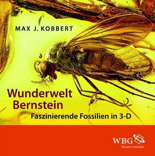 Wunderwelt Bernstein: Faszinierende Fossilien in 3-D