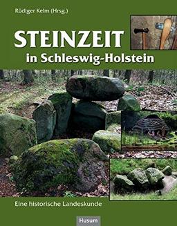 Steinzeit in Schleswig-Holstein: Eine historische Landeskunde