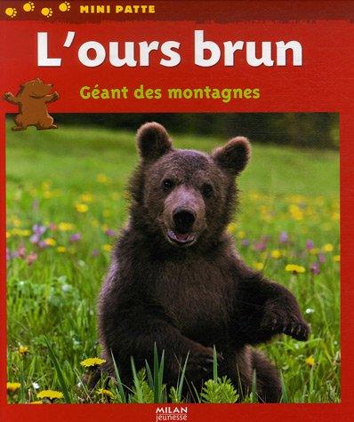 L'ours brun, géant des montagnes