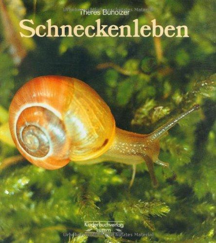 Schneckenleben