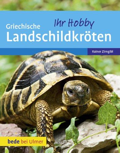 Griechische Landschildkröten