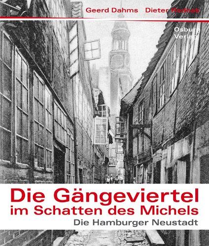 Die Gängeviertel im Schatten des Michels. Die Hamburger Neustadt