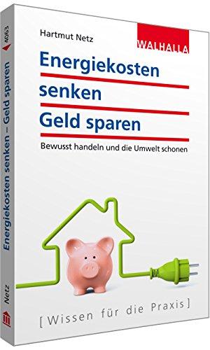 Energiekosten senken - Geld sparen: Bewusst handeln und die Umwelt schonen