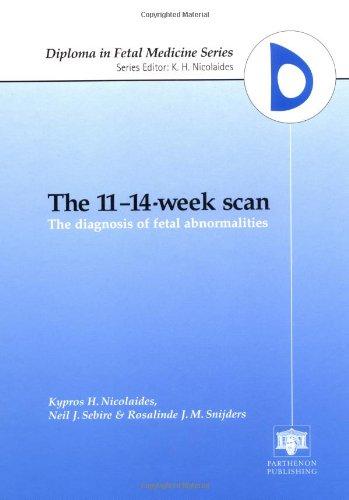 The 11-14-Week Scan: The Diagnosis of Fetal Abnormalities (Diploma in Fetal Medicine Series,)