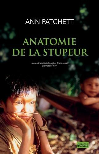 Anatomie de la stupeur