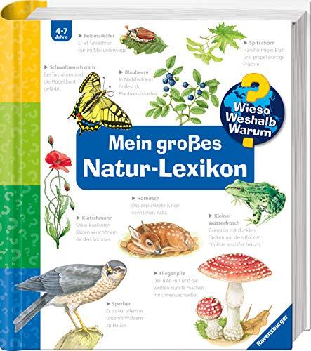 Mein großes Natur-Lexikon (Wieso? Weshalb? Warum? Sonderband)