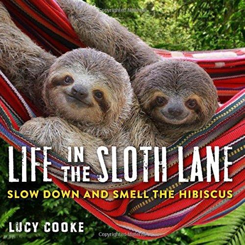 Life in the Sloth Lane: Slow Down and Smell the Hibiscus