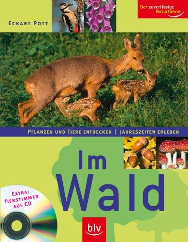 Im Wald / Mit CD: Pflanzen und Tiere entdecken - Jahreszeiten erleben