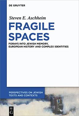 Fragile Spaces: Forays into Jewish Memory, European History and Complex Identities (Perspectives on Jewish Texts and Contexts, 8)