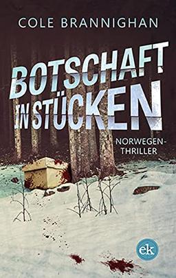 Botschaft in Stücken: Norwegen-Thriller