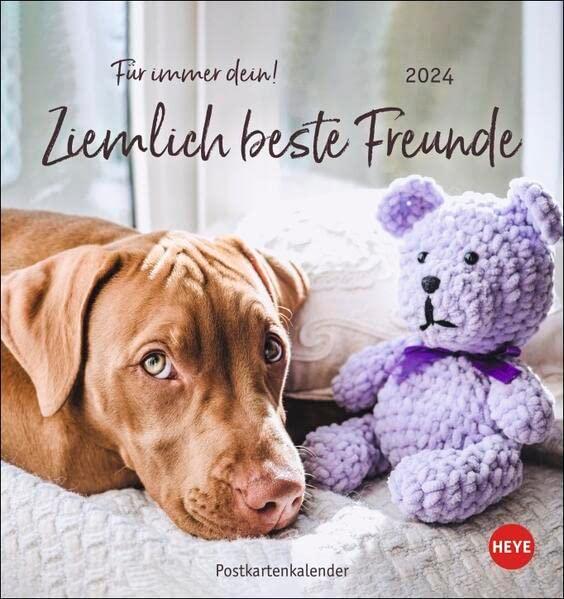 Ziemlich beste Freunde Postkartenkalender 2024: Für immer dein