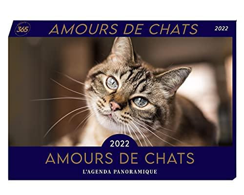 Amours de chats 2022 : l'agenda panoramique