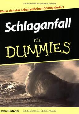 Schlaganfall für Dummies