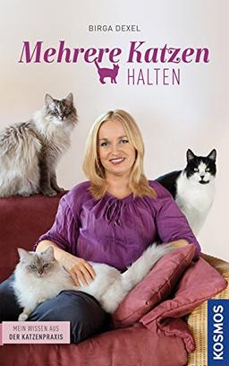 Mehrere Katzen halten: Mein Wissen aus der Katzenpraxis