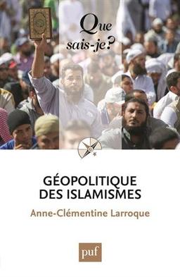 Géopolitique des islamismes