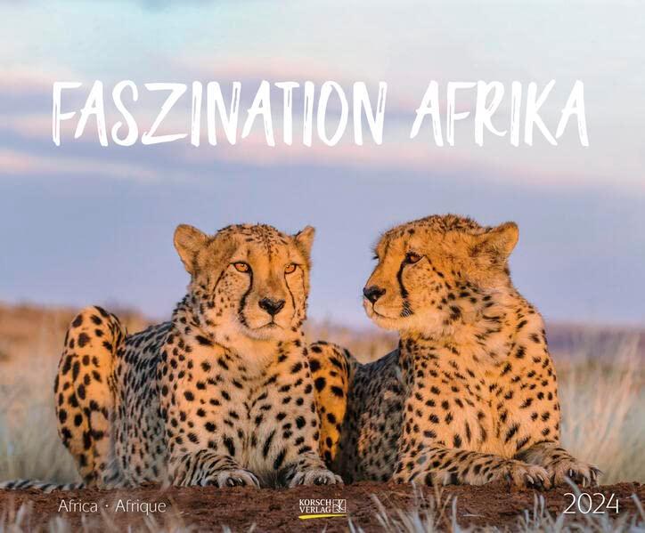 Faszination Afrika 2024: Großer Wandkalender. Foto-Kunstkalender afrikanischer Tiere in der Natur. Querformat 55 x 45,5 cm.