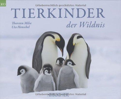 Tierkinder der Wildnis