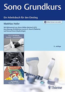 Sono Grundkurs: Ein Arbeitsbuch für den Einstieg