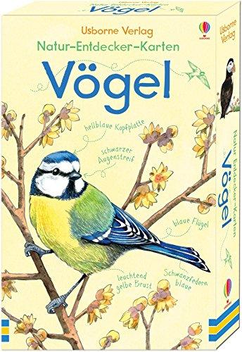 Natur-Entdecker-Karten: Vögel