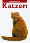 Katzen