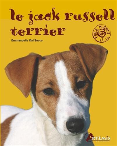 Le jack russell terrier