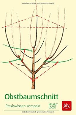 Obstbaumschnitt: Praxiswissen kompakt