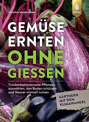 Gemüse ernten ohne gießen: Trockenheitstolerante Pflanzen auswählen, den Boden schützen und Wasser sinnvoll nutzen. Gärtnern mit dem Klimawandel