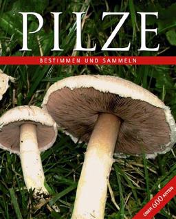 Das große Buch der Pilze