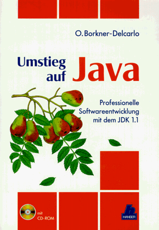 Umstieg auf Java: Professionelle Softwareentwicklung mit dem JDK 1.1