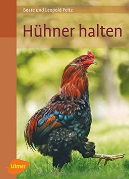 Hühner halten