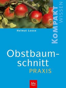 Obstbaumschnitt-Praxis