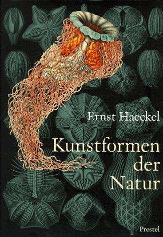 Ernst Haeckel - Kunstformen der Natur