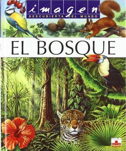 IMAGEN EL BOSQUE + PUZZLE (Imagen Descubierta Del Mundo)