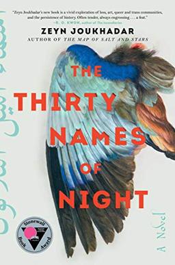 The Thirty Names of Night: A Novel