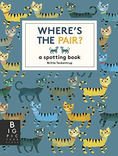 Where's the Pair?: A Spotting Book (Britta Teckentrup)