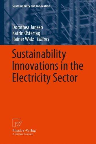 Sustainability Innovations in the Electricity Sector (Sustainability and Innovation)