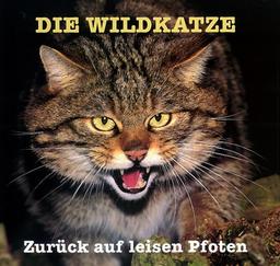 Die Wildkatze: Zurück auf leisen Pfoten